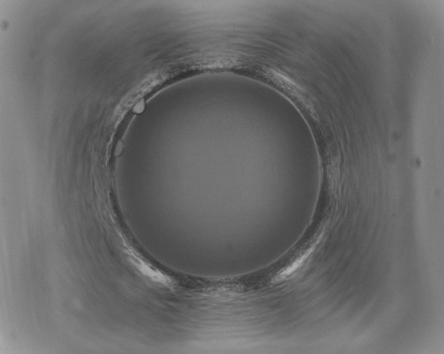 X0000075860721200609151225