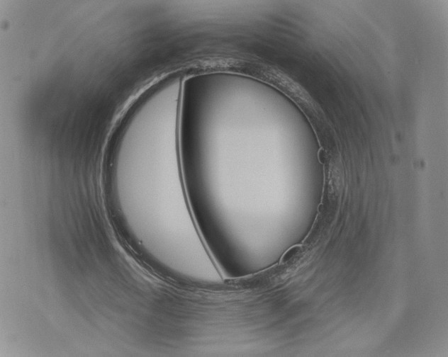 X0000075860722200609151225