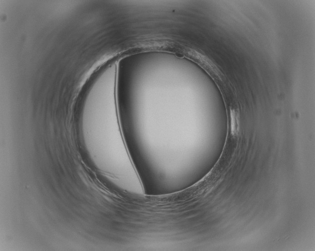 X0000075860723200609151225