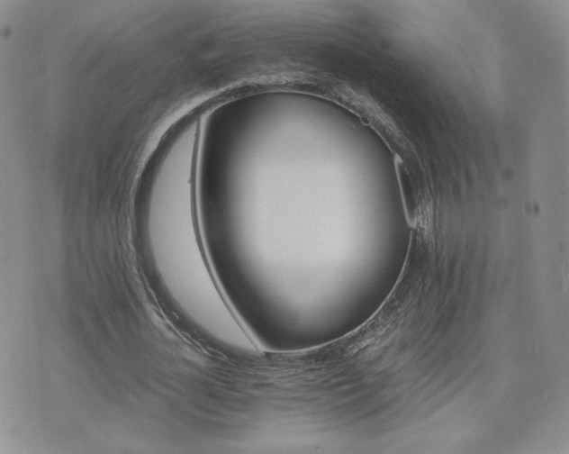 X0000075860724200609151225