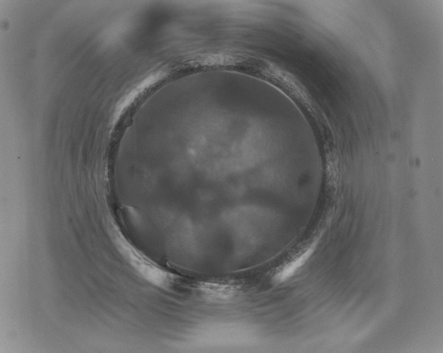 X0000075860725200609151225