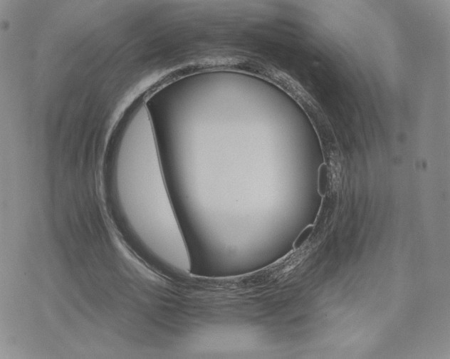 X0000075860726200609151225