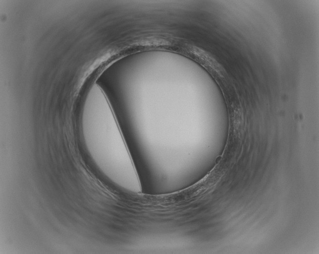 X0000075860727200609151225