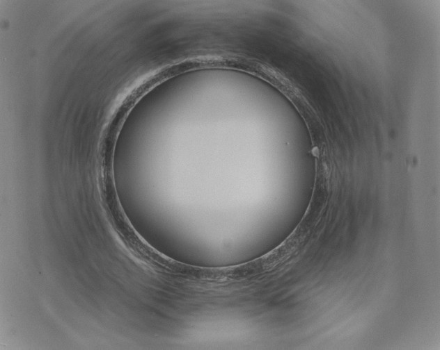 X0000075860728200609151225