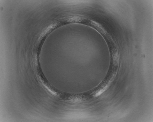 X0000075860729200609151225