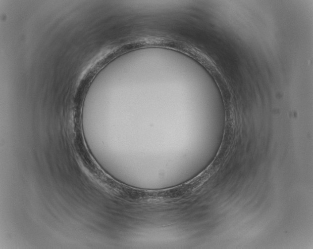 X0000075860730200609151225