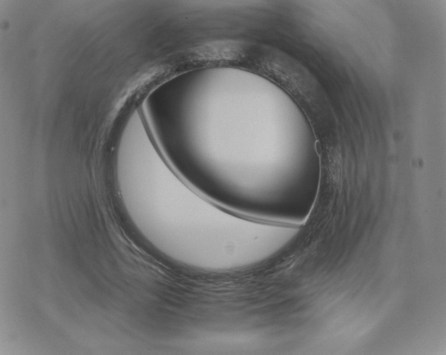 X0000075860731200609151225