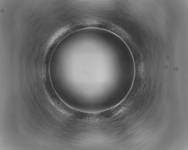 X0000075860732200609151225