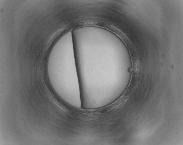 X0000075860733200609151225