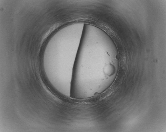 X0000075860734200609151225