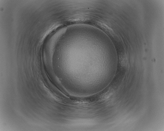 X0000075860735200609151225