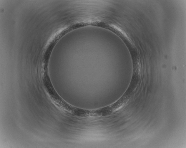 X0000075860736200609151225