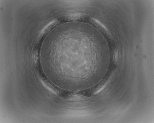 X0000075860737200609151225