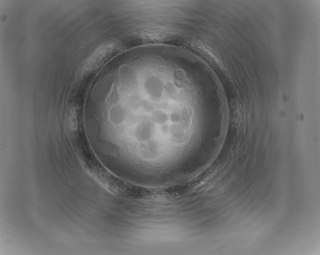 X0000075860738200609151225