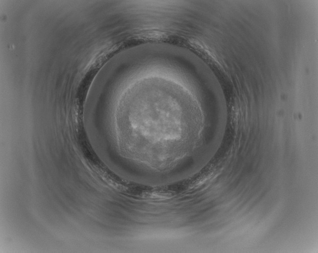 X0000075860739200609151225