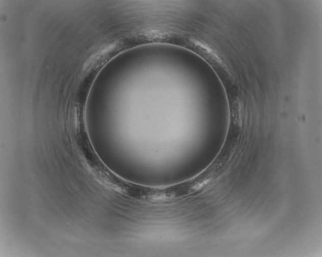 X0000075860740200609151225