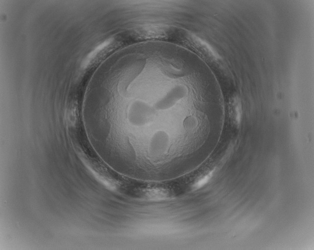 X0000075860741200609151225