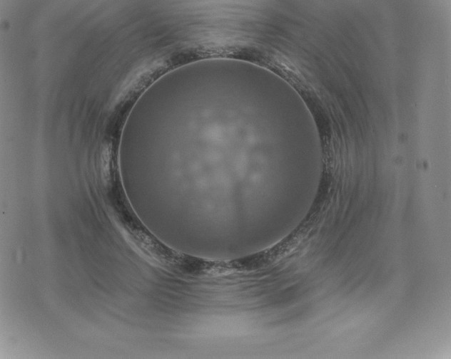 X0000075860742200609151225