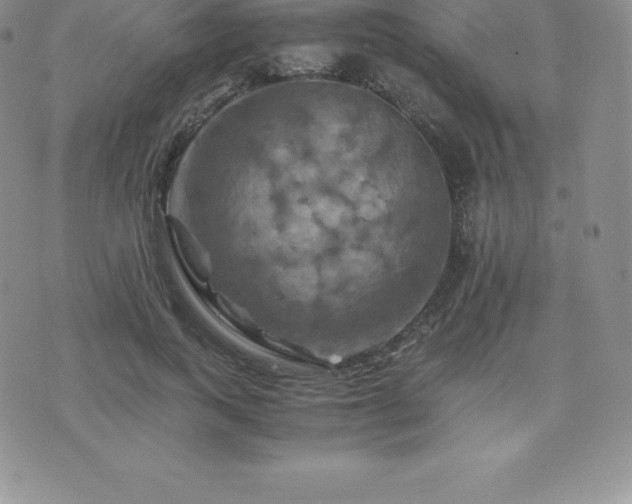 X0000075860743200609151225