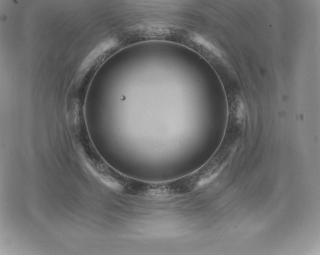 X0000075860744200609151225