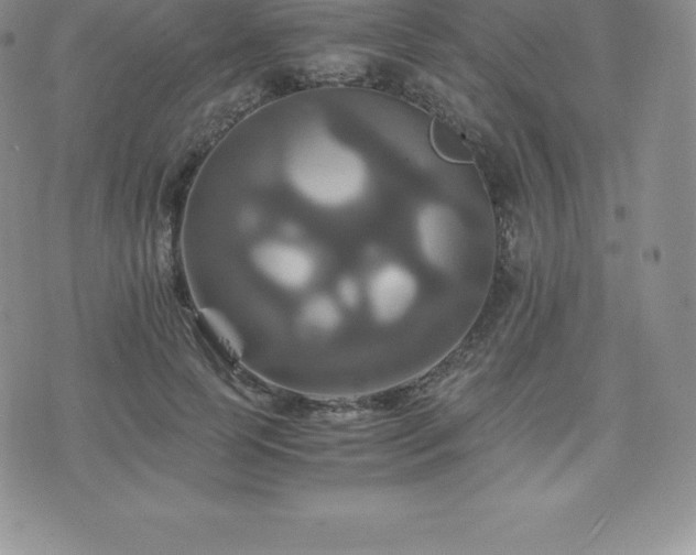 X0000075860745200609151225