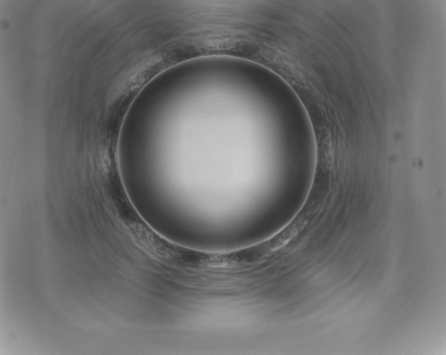 X0000075860746200609151225