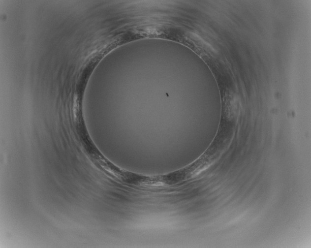 X0000075860747200609151225