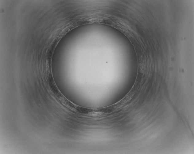 X0000075860748200609151225