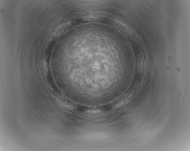 X0000075860749200609151225