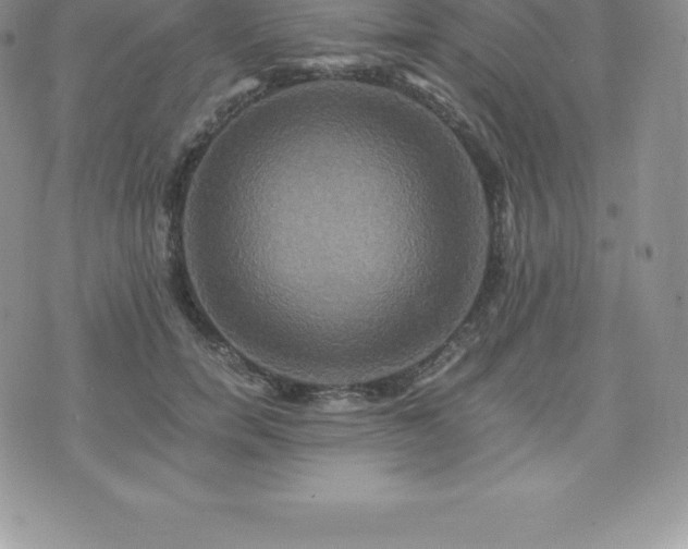 X0000075860750200609151225