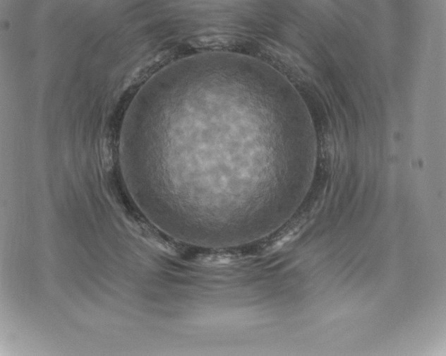 X0000075860751200609151225