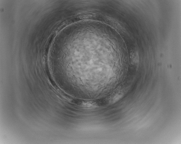 X0000075860753200609151225