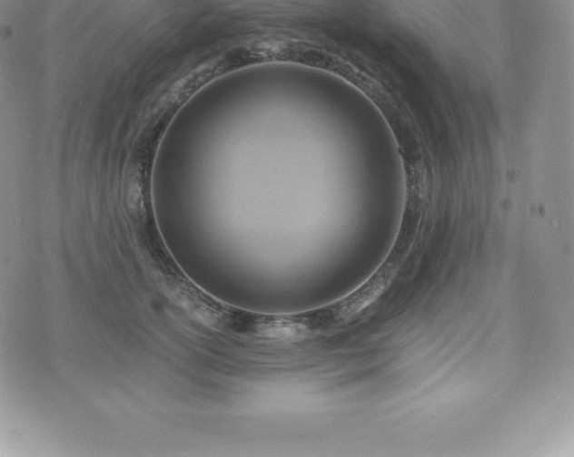 X0000075860754200609151226