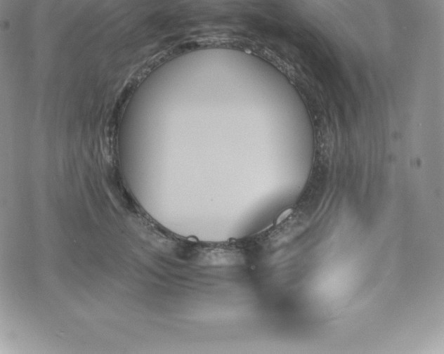 X0000075860755200609151226