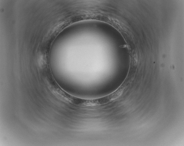 X0000075860756200609151226