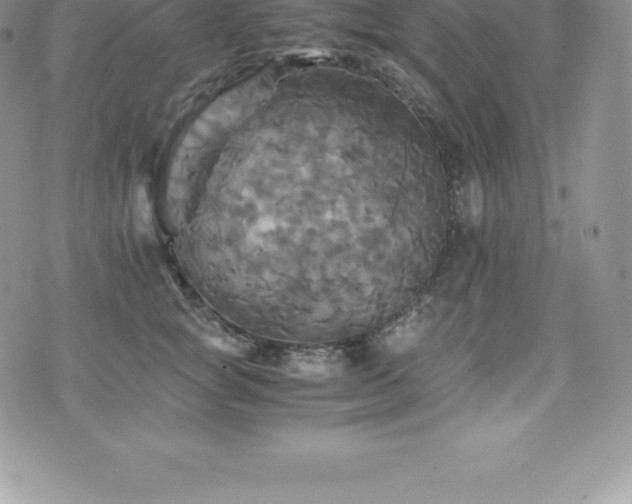 X0000075860757200609151226