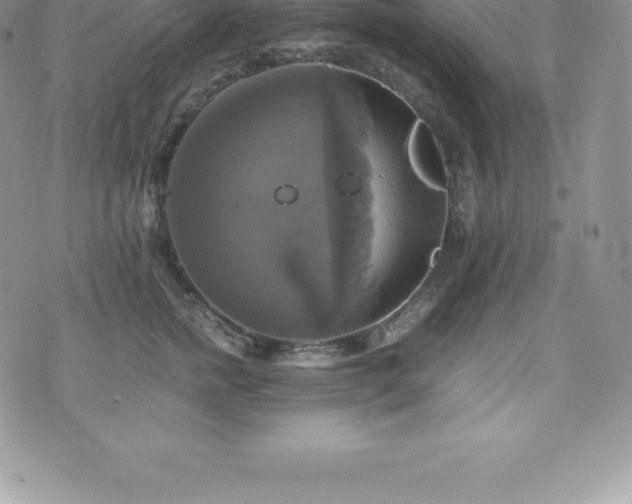 X0000075860758200609151226