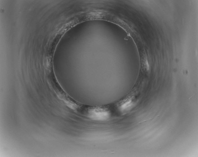 X0000075860759200609151226