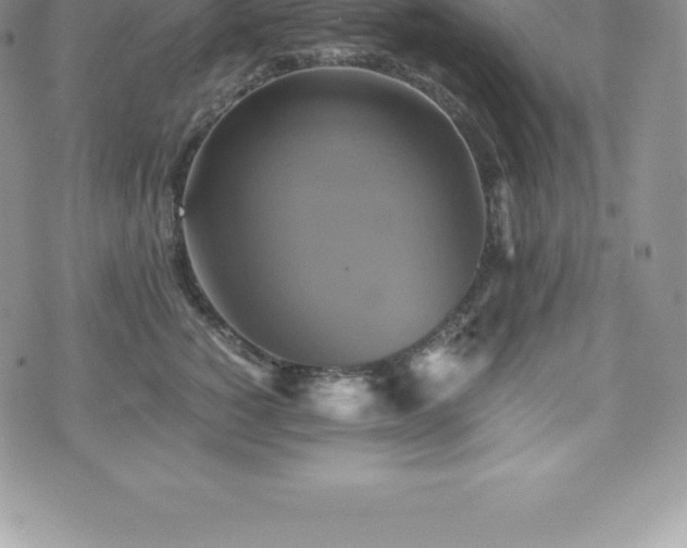 X0000075860760200609151226