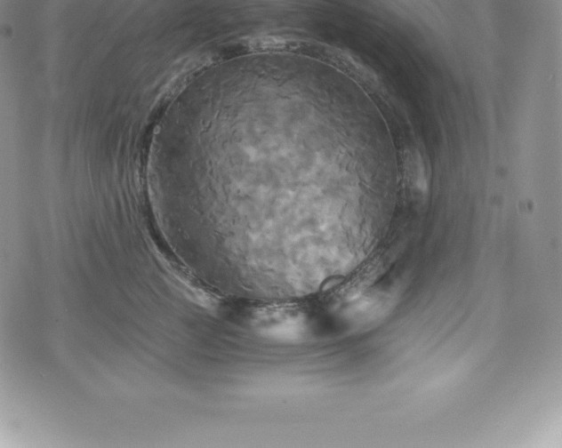 X0000075860761200609151226