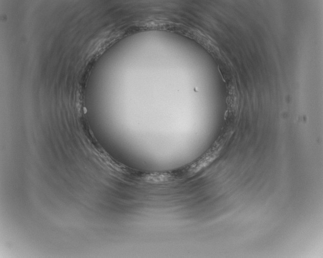 X0000075860762200609151226