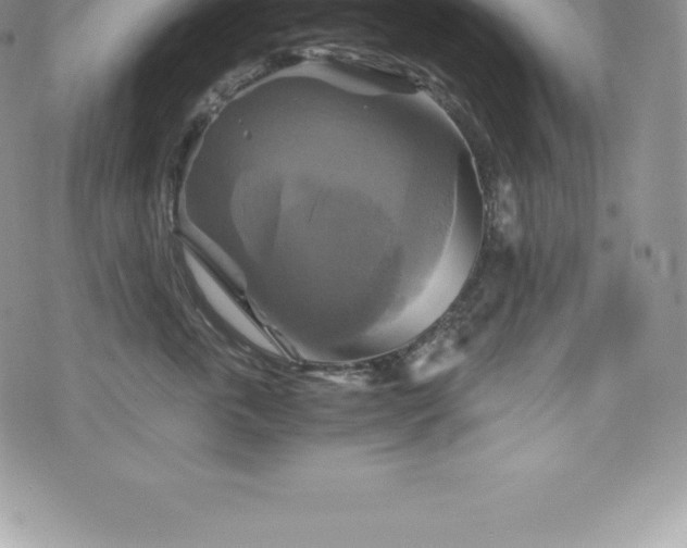 X0000075860763200609151226