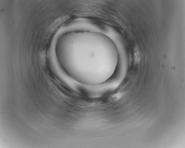 X0000075860764200609151226