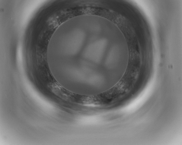 X0000075860765200609151226