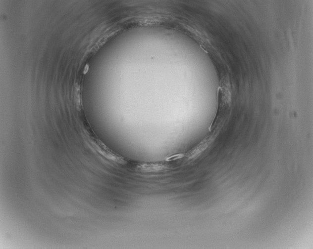 X0000075860766200609151226