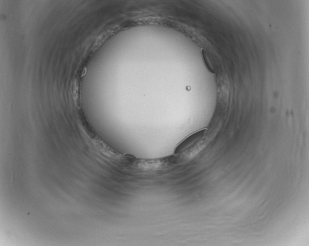 X0000075860767200609151226