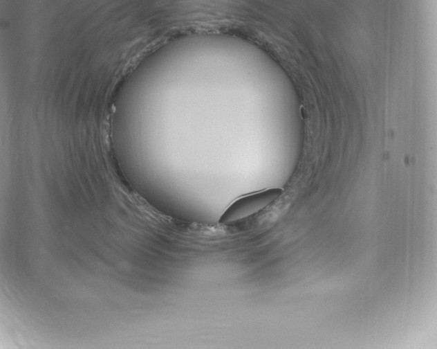 X0000075860768200609151226