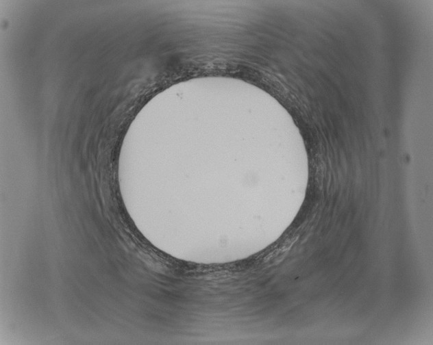 X0000075860769200609151225