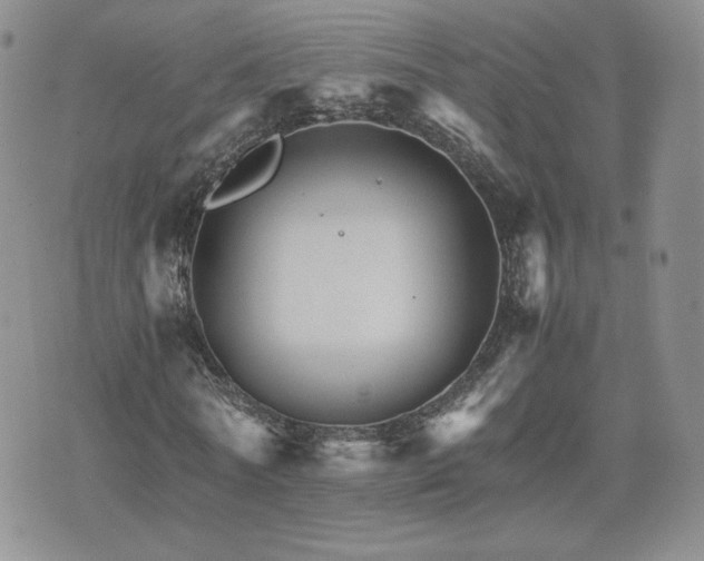 X0000075860770200609151225