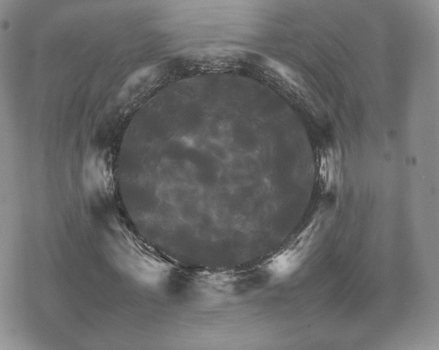 X0000075860771200609151225